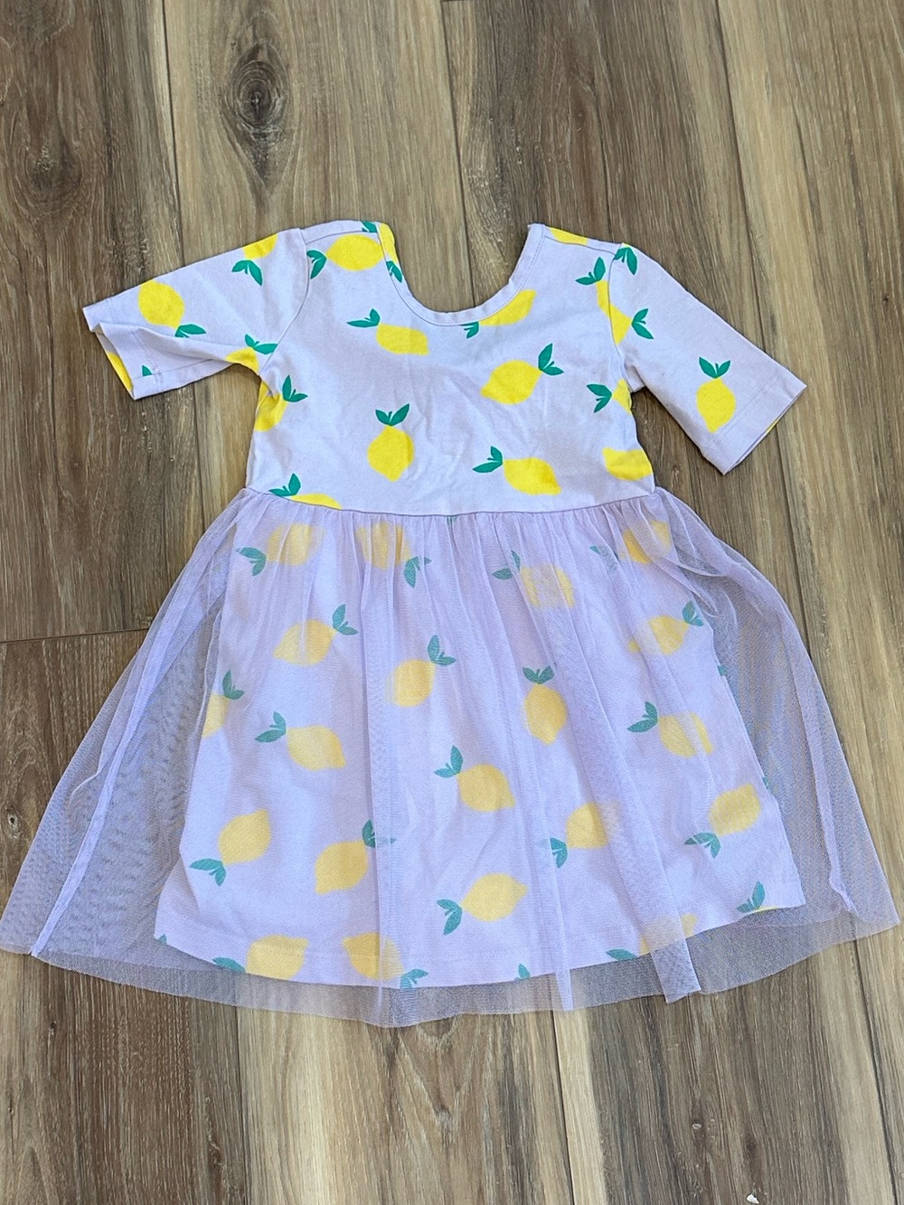 Hanna Andersson Lavender Purple Lemon Tulle Skater dress 2T